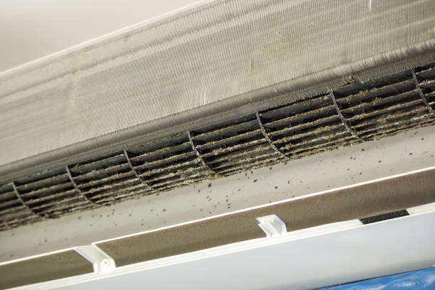 Best Air Vent Cleaning Services  in St Johns, AZ
