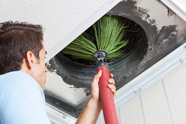 Best Residential Air Duct Cleaning  in St Johns, AZ